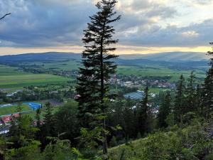 a tall tree on a hill with a town in the distance at Lubawskie Zacisze in Lubawka