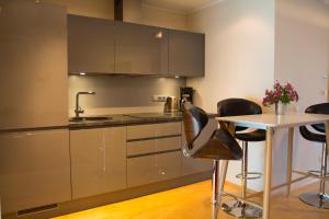 Kuchyň nebo kuchyňský kout v ubytování City center apartment Aida