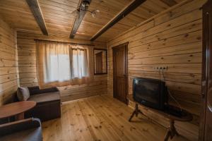 a living room with wooden walls and a tv and a couch at ROXENA APART in Szack