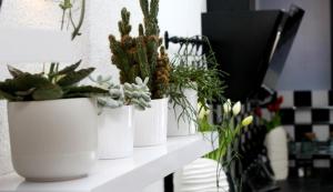 Galeriebild der Unterkunft Modern Apartment in Primošten in Primošten + 37 Fotos