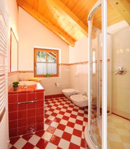 a bathroom with a toilet and a sink and a shower at Appartement Wolfenhof in Colle Isarco