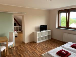 TV a/nebo společenská místnost v ubytování Hotel Am Rittergut