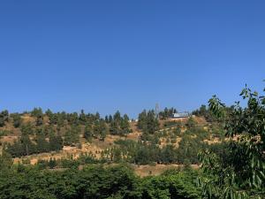 a house on top of a hill with trees at אירוח נוף הרים in Safed