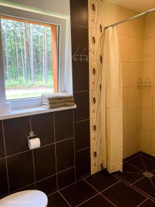 a bathroom with a shower and a toilet and a window at Brīvdienu māja VILCIŅI in Bernāti