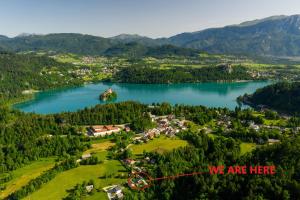 an aerial view of a town on a lake at Dolar Rooms in Bled