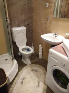 ein Badezimmer mit einem WC, einem Waschbecken und einer Waschmaschine in der Unterkunft Holiday Home Dzeni in Zenica