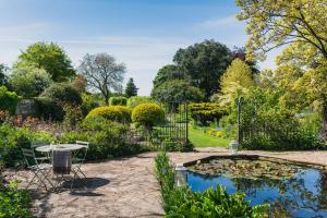 a garden with a pond filled with lilies at Barnsley House in Cirencester