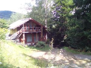 a small wooden cabin in the middle of a forest at PetrikHolm in Tatariv
