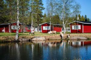 un grupo de animales parados cerca de un cuerpo de agua en Motelli Rovaniemi, en Rovaniemi