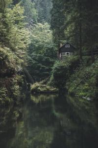Príroda v okolí hotela