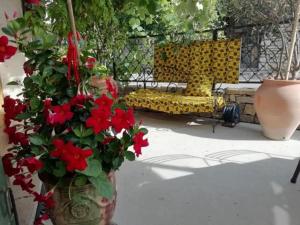 Zahrada ubytování Un nid entre vignes et pierres "Pic St Loup" Claret