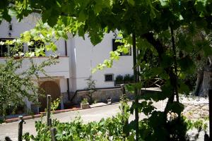 Zahrada ubytování Agriturismo Parco dai Nonni