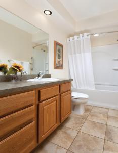 a bathroom with a sink and a toilet at WorldMark Grand Lake in Monkey Island
