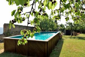 Vonkajšia záhrada v ubytovaní Casa di Leo with pool