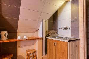 a small kitchen with a sink and a counter at Willa Krzesanica in Kościelisko +117 photos