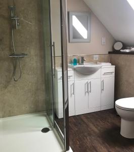 a bathroom with a shower and a sink and a toilet at The Old School House in Haltwhistle