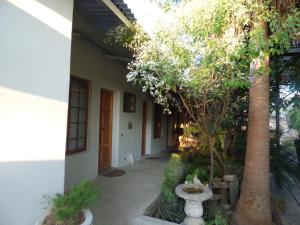 un patio de una casa con una palmera en Tsumeb Backpackers & Safari en Tsumeb