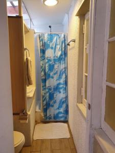 a bathroom with a shower with a blue shower curtain at Sentir Patagonia in Viña del Mar