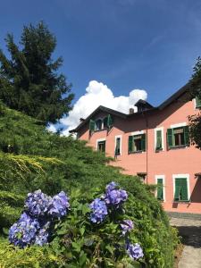 A garden outside Villa Le Vignole