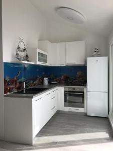 Kuchyň nebo kuchyňský kout v ubytování Hvar Apartments Felix