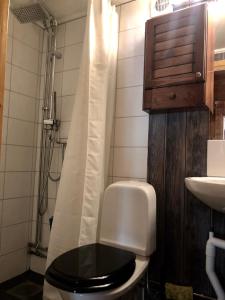 La salle de bains est pourvue de toilettes avec un siège noir et un lavabo. dans l'établissement Lillstugan, à Sälen