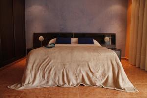 1 dormitorio con 1 cama grande con almohadas azules en Areeta Etxea, en Espejo