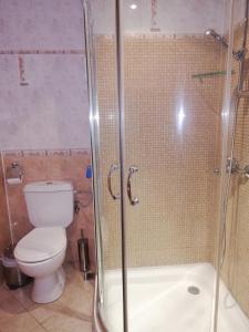 y baño con aseo y ducha acristalada. en Комплекс Рожена, хотел, хотелски комплекс Рожена, en Rozhen