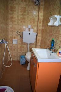 アスプロヴァルタにあるApartments Anesis Pantazisのバスルーム(トイレ、シンク付)