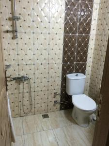 a bathroom with a toilet and a shower at Serendi Apart Hotel in Alanya