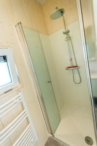 a shower with a glass door in a bathroom at De Lepelaar in Midsland
