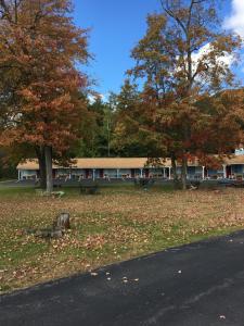 a building with a tree in the middle of a park at Warrensburg Inn & Suites - 6 Mi to Lake George in Warrensburg