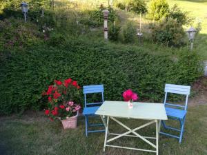 Giardino di Biobergbauernhof Bergzeit Apartment in Goldegg