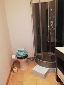 Koupelna v ubytování Au Sabluline chambres d'hôtes gîtes