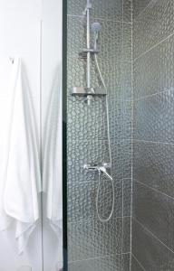een douche met een glazen deur in de badkamer bij Acio Tinto Loft Casco Histórico de Ourense in Ourense
