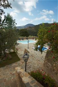 una piscina con luz de la calle y una lámpara en Relais Colline San Biagio, en Carmignano