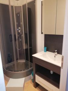 W łazience znajduje się prysznic i umywalka. w obiekcie Au Sabluline chambres d'hôtes gîtes w mieście Draguignan