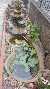 A garden outside B&B Fior di Loto
