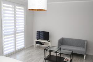 Televízia a/alebo spoločenská miestnosť v ubytovaní APARTAMENT SŁOBÓDZKIEGO 7