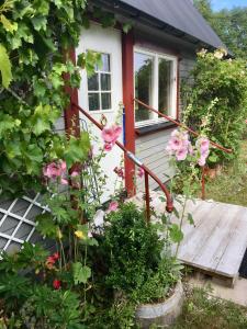 a small house with pink flowers in front of it at Stuga Romakloster in Romakloster