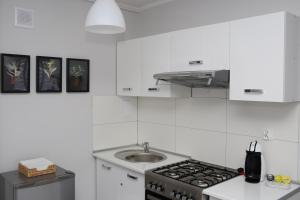 Kuchyňa alebo kuchynka v ubytovaní APARTAMENT SŁOBÓDZKIEGO 7