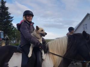 Uma mulher montada num cavalo com um cão. em Vorsabær Apartment em Selfoss