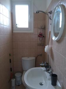 a bathroom with a sink and a toilet and a mirror at Christina's House in Iraklitsa +33 photos