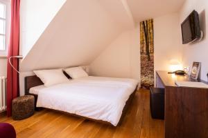 1 dormitorio con 1 cama, escritorio y TV en Traube Blansingen, en Efringen-Kirchen
