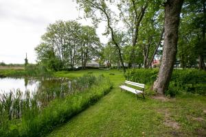 un banco del parque sentado junto a un árbol junto a un lago en Mazurski Dwór en Olecko