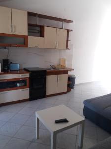 Kuchyň nebo kuchyňský kout v ubytování appartement Juras 1