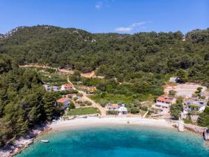 an aerial view of a beach with houses at Apartments Robinzon Petar in Gdinj