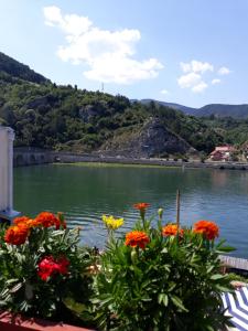 a view of a body of water with flowers at Apartment Lotika in Višegrad