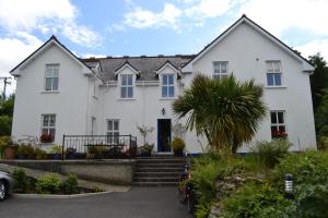 a white house with a palm tree in front of it at Guaire House Killarney in Killarney