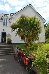Đạp xe trong hoặc quanh Guaire House Killarney