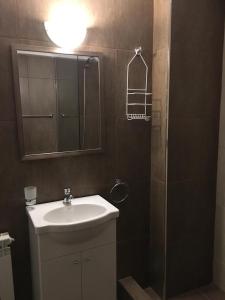 y baño con lavabo y ducha con espejo. en Apartamento El Maiten en San Carlos de Bariloche